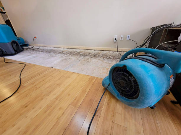 Professional Burst Pipe Water Damage technician working in Jacksonboro, SC